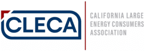 cleca logo scaled